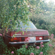 Image for article titled SEDAN Is The New Photography Zine We All Should Be Reading